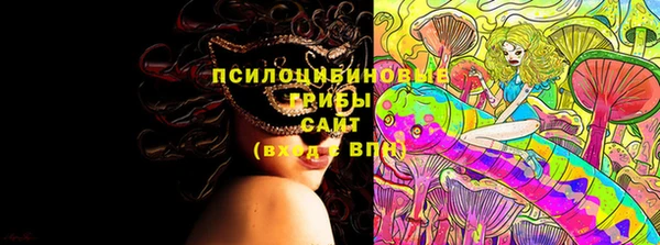 гидропоника Арсеньев